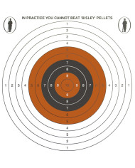 Bisley 17cm Economy Shooting Targets – 100 Pack