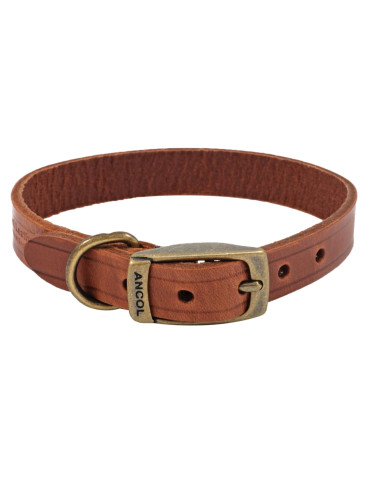 Bisley Dog Collar Heritage Leather