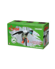 Stepland Rotor Colvert