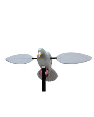 Stepland Rotor Pigeon